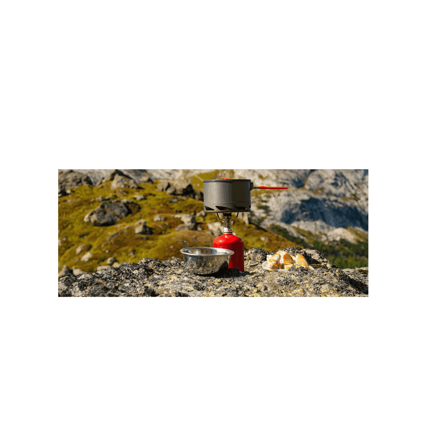 Camping Gas Stoves & Burners