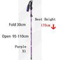 Telescopic Trekking Pole – Lightweight & Portable 